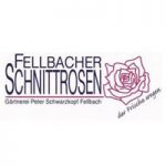 Rosenparty 2021 im Rosenhaus Fellbach - ABGESAGT!